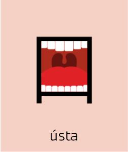 04 usta